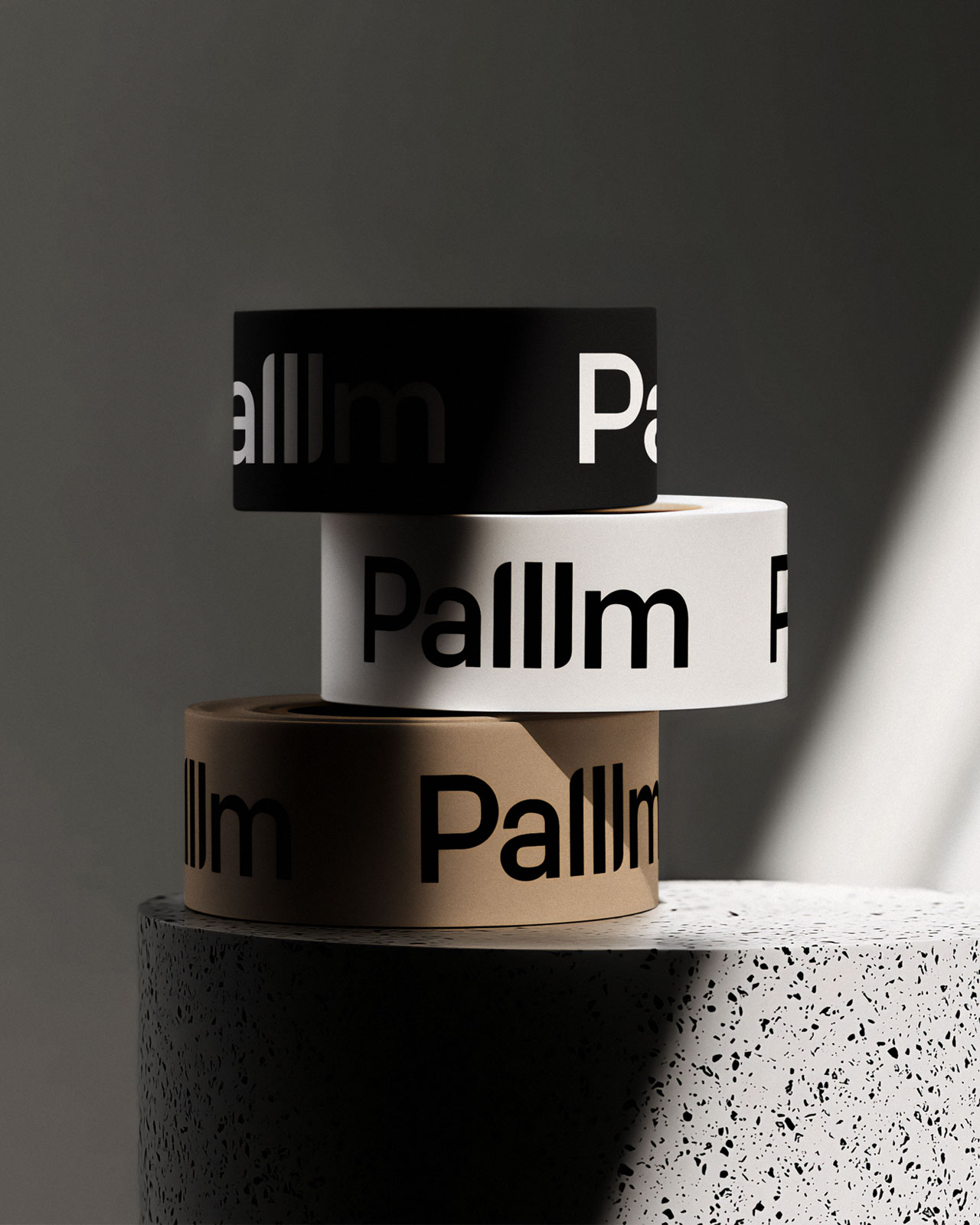 250329_palllm_logo_ducktape_mockup_1280x1600px_01