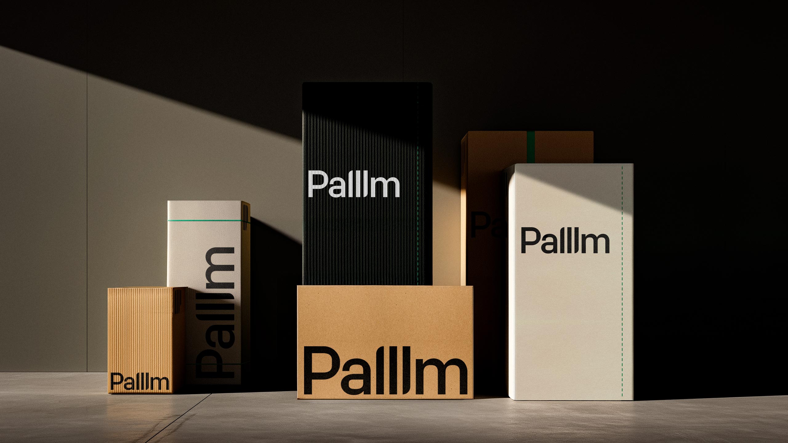 Palllm_Packaging_Mockup_2560x1440_01